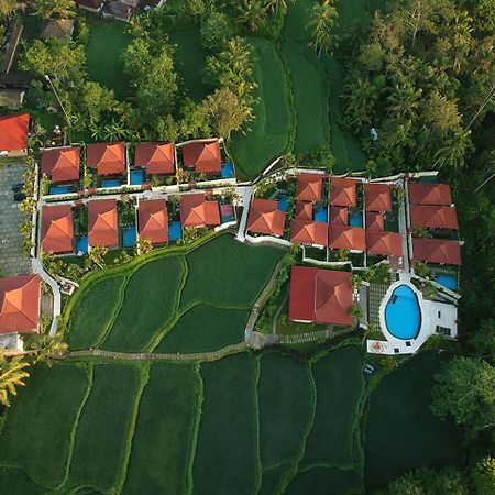 Vrindavan Ubud Villa Tegallalang  Εξωτερικό φωτογραφία