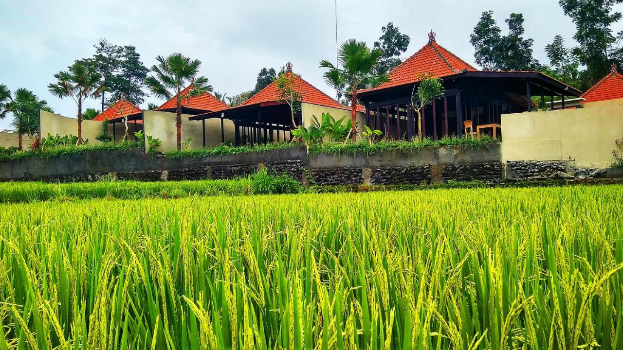 Vrindavan Ubud Villa Tegallalang  Εξωτερικό φωτογραφία