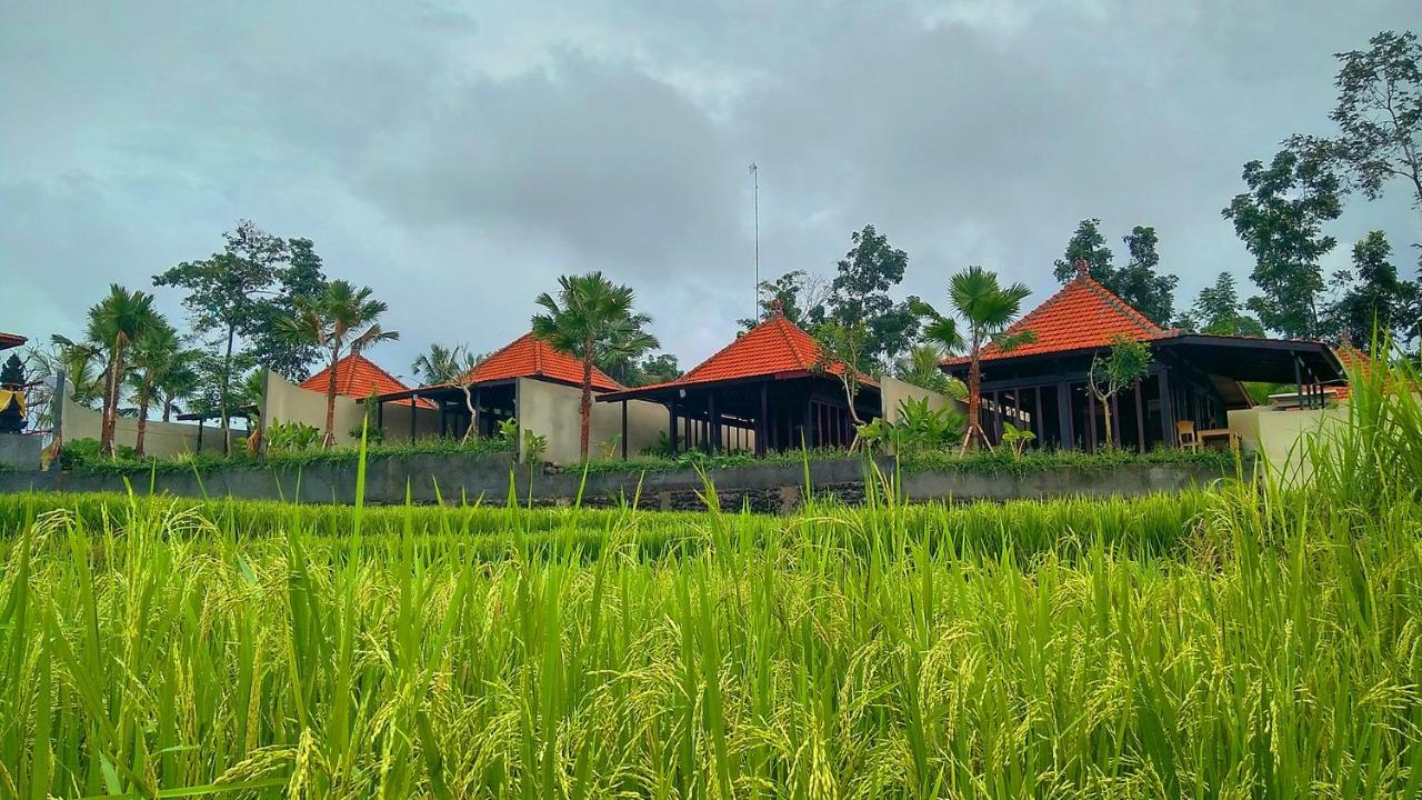 Vrindavan Ubud Villa Tegallalang  Εξωτερικό φωτογραφία