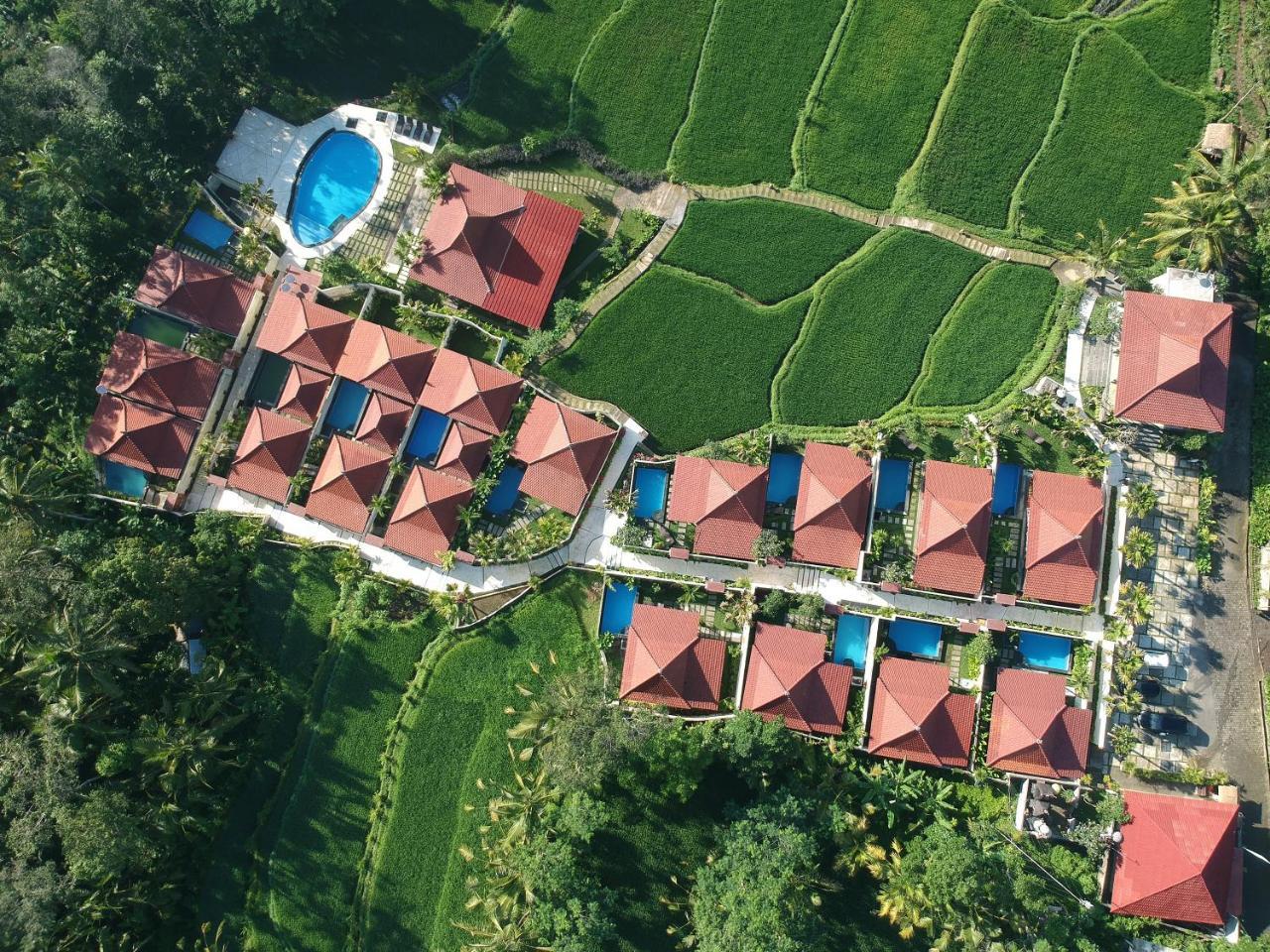 Vrindavan Ubud Villa Tegallalang  Εξωτερικό φωτογραφία