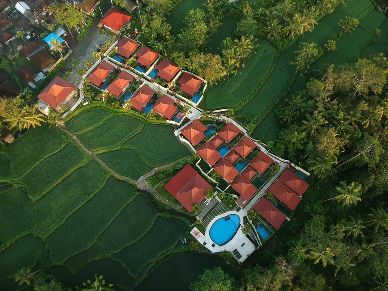 Vrindavan Ubud Villa Tegallalang  Εξωτερικό φωτογραφία